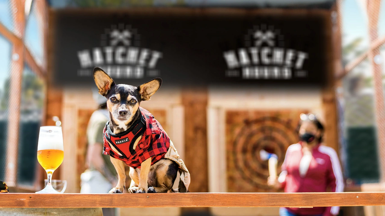 Hatchet Hound at Colab Public House in Vista California
